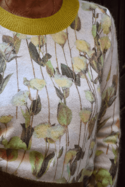 Maglia Angora
